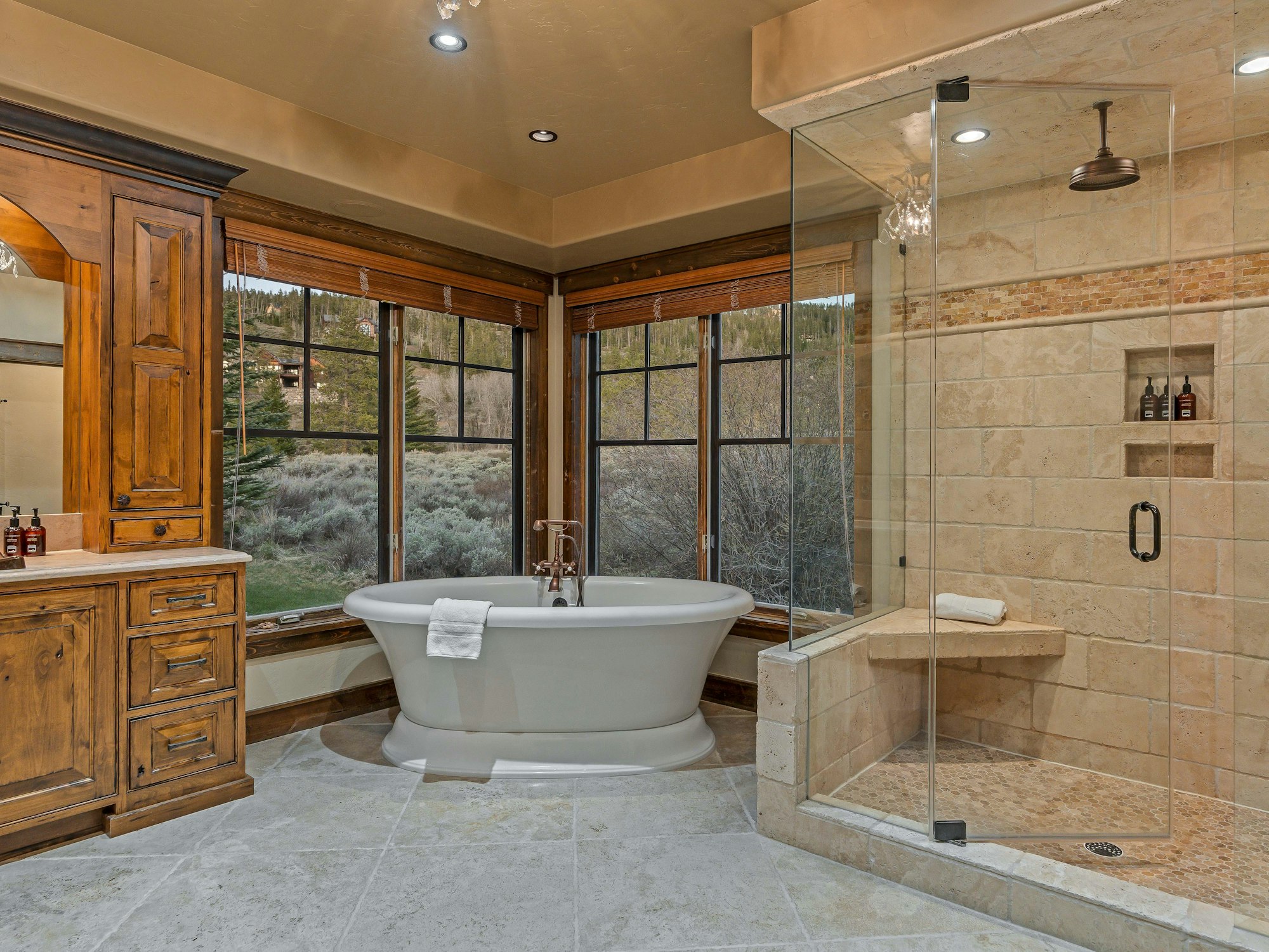 Bathroom scenic view